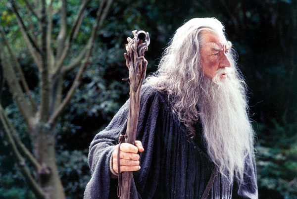 http://grail.cs.washington.edu/projects/digital-matting/image-matting/other/gandalf-input.png