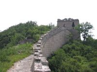 Overgrown Great Wall
