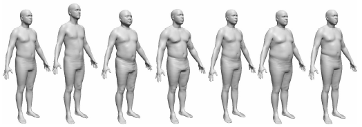 Exploring the space of human body shapes