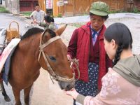 Pony